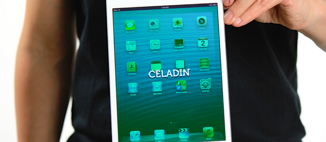 Celadin Case Study Celadin Case Study