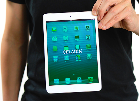 Celadin Case Study